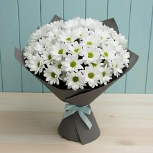 Букет цветов из:  Хризантемы #REPLACE_PRED# Усолье