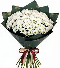 Букет цветов из:  Хризантемы #REPLACE_PRED# Усолье