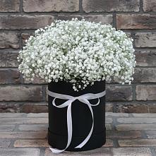 Цветочная композиция из Гипсофила в шляпной коробке #REPLACE_PRED# Усолье