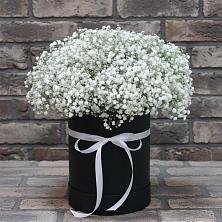Цветочная композиция из Гипсофила в шляпной коробке в Усолье