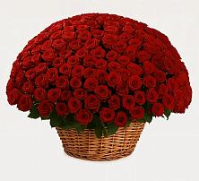 Премиум букет из: Розы #REPLACE_PRED# Усолье