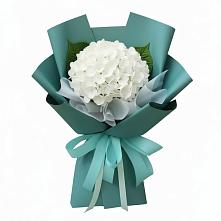 Букет цветов из:  Гортензия #REPLACE_PRED# Усолье